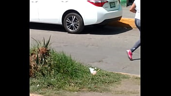 Trim 20161017 125225