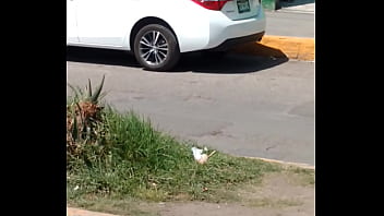 Trim 20161017 125225