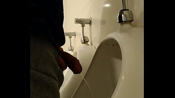 Meando En Baño Público thumbnail
