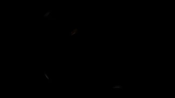 Making love on the beach