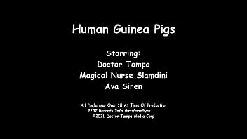 Human guinea pigs ava siren