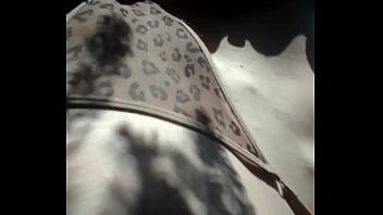 めっちゃいい季節！！