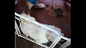 Acordei com a neura da limpeza limpando tudo e quando ele se aproximou de mim me deu um calor