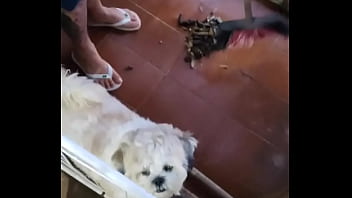 Acordei com a neura da limpeza limpando tudo e quando ele se aproximou de mim me deu um calor