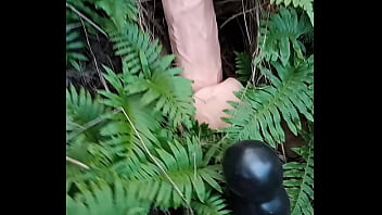 Alucinogenas en el bosque