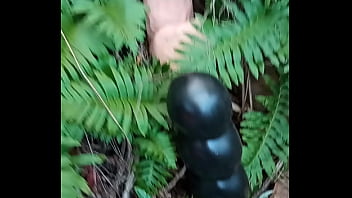 Alucinogenas en el bosque