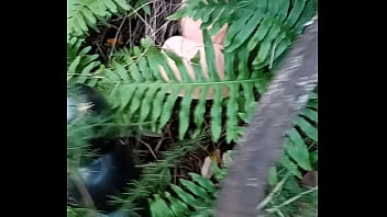 Alucinogenas en el bosque