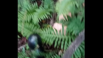 Alucinogenas en el bosque