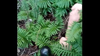 Alucinogenas en el bosque