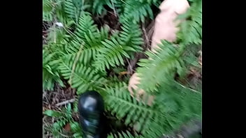 Alucinogenas en el bosque