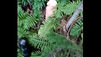 Alucinogenas en el bosque