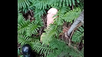 Alucinogenas en el bosque