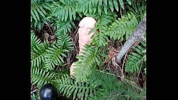 Alucinogenas en el bosque