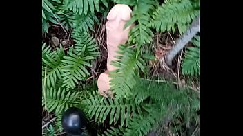 Alucinogenas en el bosque