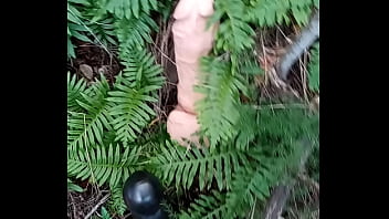 Alucinogenas en el bosque