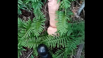 Alucinogenas en el bosque