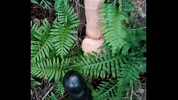 Alucinogenas en el bosque