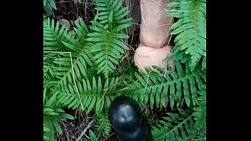 Alucinogenas en el bosque