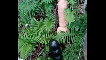 Alucinogenas en el bosque