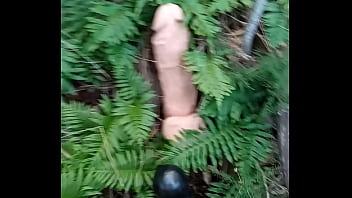 Alucinogenas en el bosque