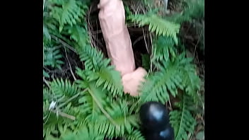 Alucinogenas en el bosque