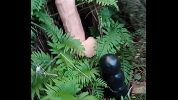 Alucinogenas en el bosque