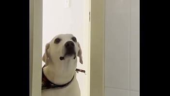 Me arrumando para o trabalho