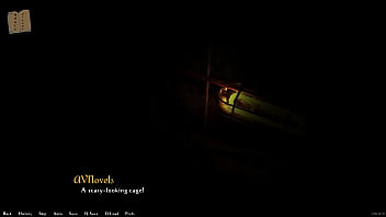 Chick walkthrough 248