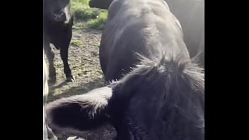 I am a country girl at heart would you have thought i find my peace in nature soaking up the sun and embra