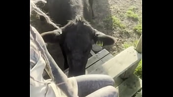 I am a country girl at heart would you have thought i find my peace in nature soaking up the sun and embra