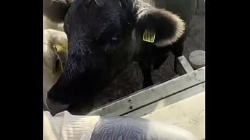 I am a country girl at heart would you have thought i find my peace in nature soaking up the sun and embra