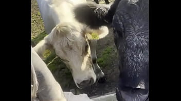 I am a country girl at heart would you have thought i find my peace in nature soaking up the sun and embra