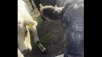 I am a country girl at heart would you have thought i find my peace in nature soaking up the sun and embra