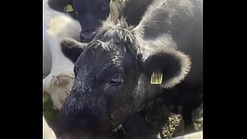 I Am A Country Girl At Heart Would You Have Thought I Find My Peace In Nature Soaking Up The Sun And Embra thumbnail