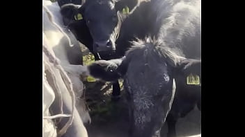 I am a country girl at heart would you have thought i find my peace in nature soaking up the sun and embra