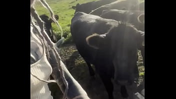 I am a country girl at heart would you have thought i find my peace in nature soaking up the sun and embra