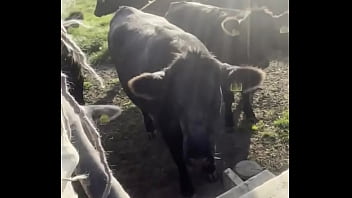 I am a country girl at heart would you have thought i find my peace in nature soaking up the sun and embra