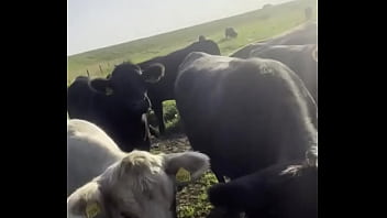 I am a country girl at heart would you have thought i find my peace in nature soaking up the sun and embra