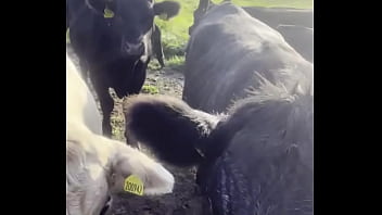 I am a country girl at heart would you have thought i find my peace in nature soaking up the sun and embra