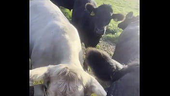 I am a country girl at heart would you have thought i find my peace in nature soaking up the sun and embra