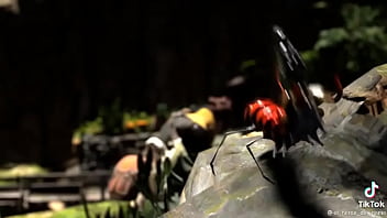 Bug Bug