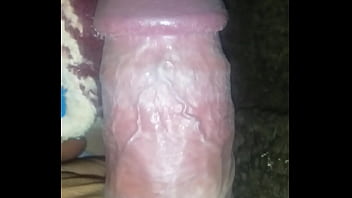 Siempre la tengo parada