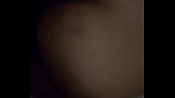 Caribbean freckled booty squirtle