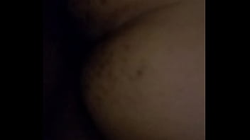 Caribbean freckled booty squirtle