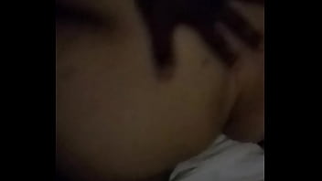 Caribbean freckled booty squirtle