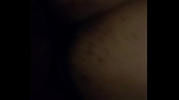 Caribbean freckled booty squirtle