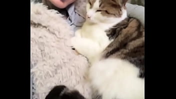 Catswhen you love cats the same as i doshare it with the friend who cuddle the same with cats or the ones who w