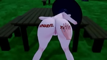 Video de vérification