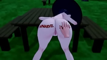 Video de vérification