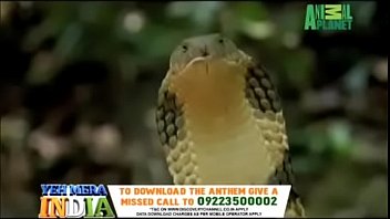 Yeh mera india anthem promo